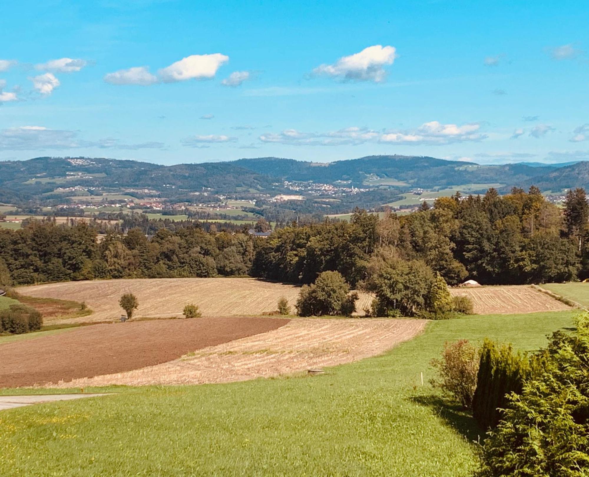 Adlerhorst, 4 Schlafzimmer, Blick In Die Alpen, Parkplatz Thyrnau Экстерьер фото